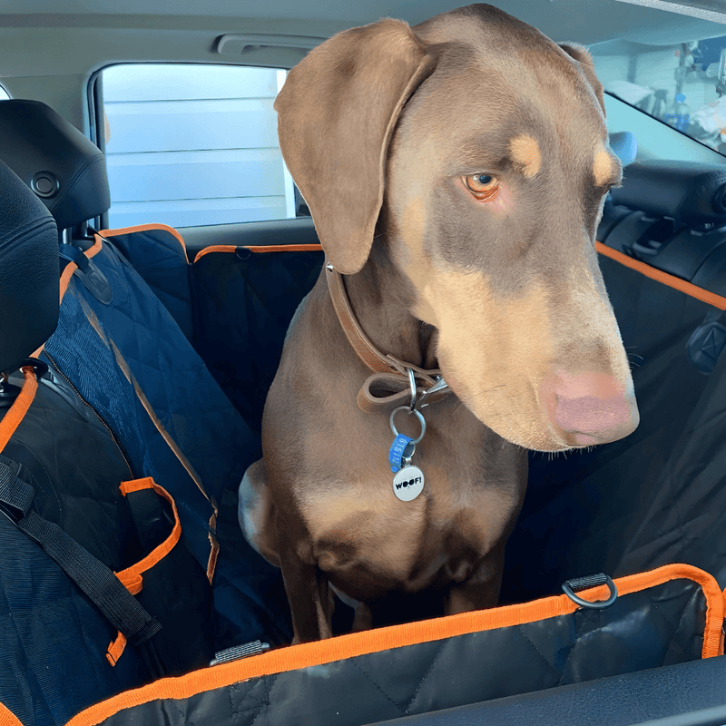 Dog Car Seat Cover