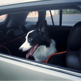 Dog Car Seat Cover